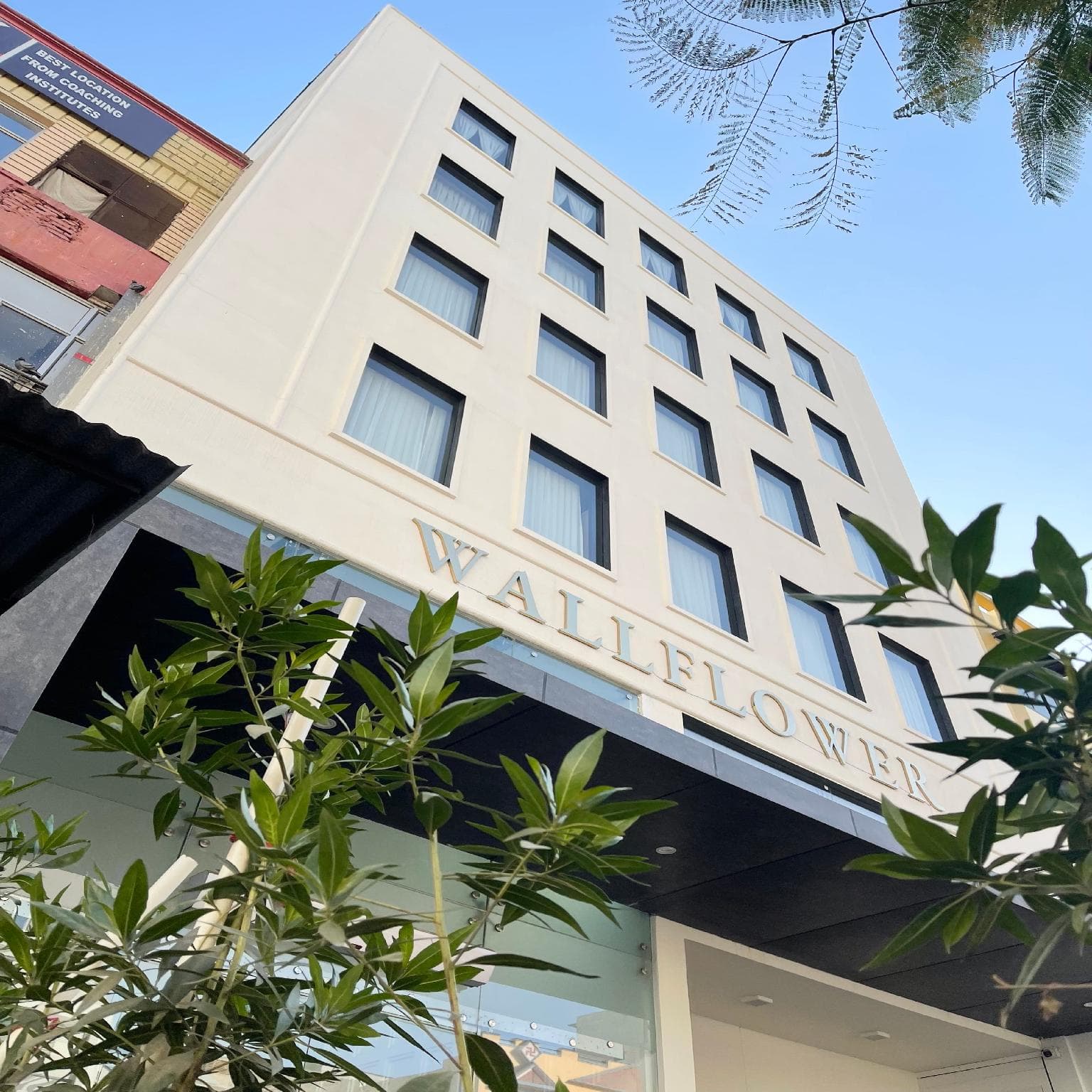 The Wallflower Hotel