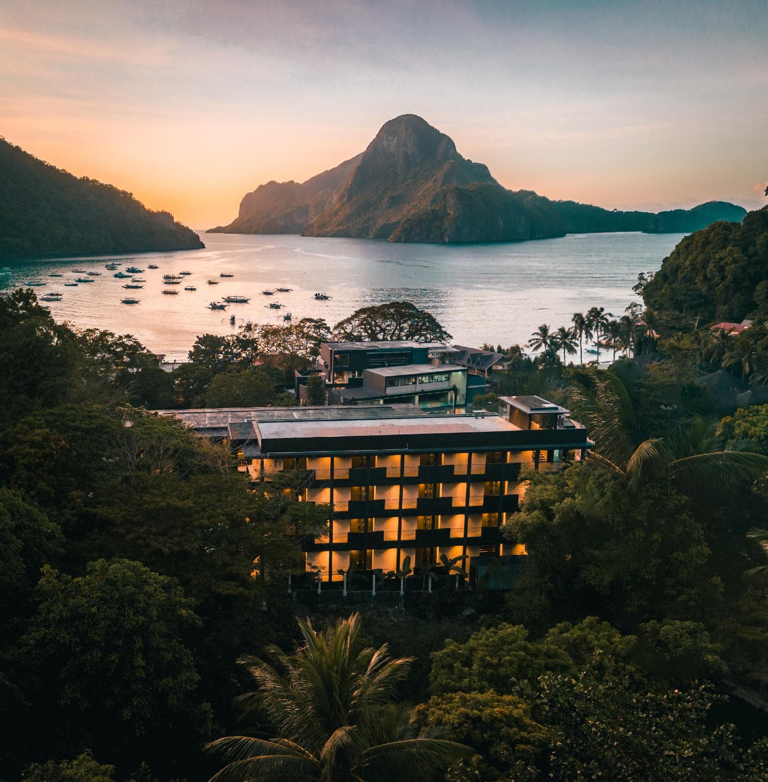 The Funny Lion- El Nido