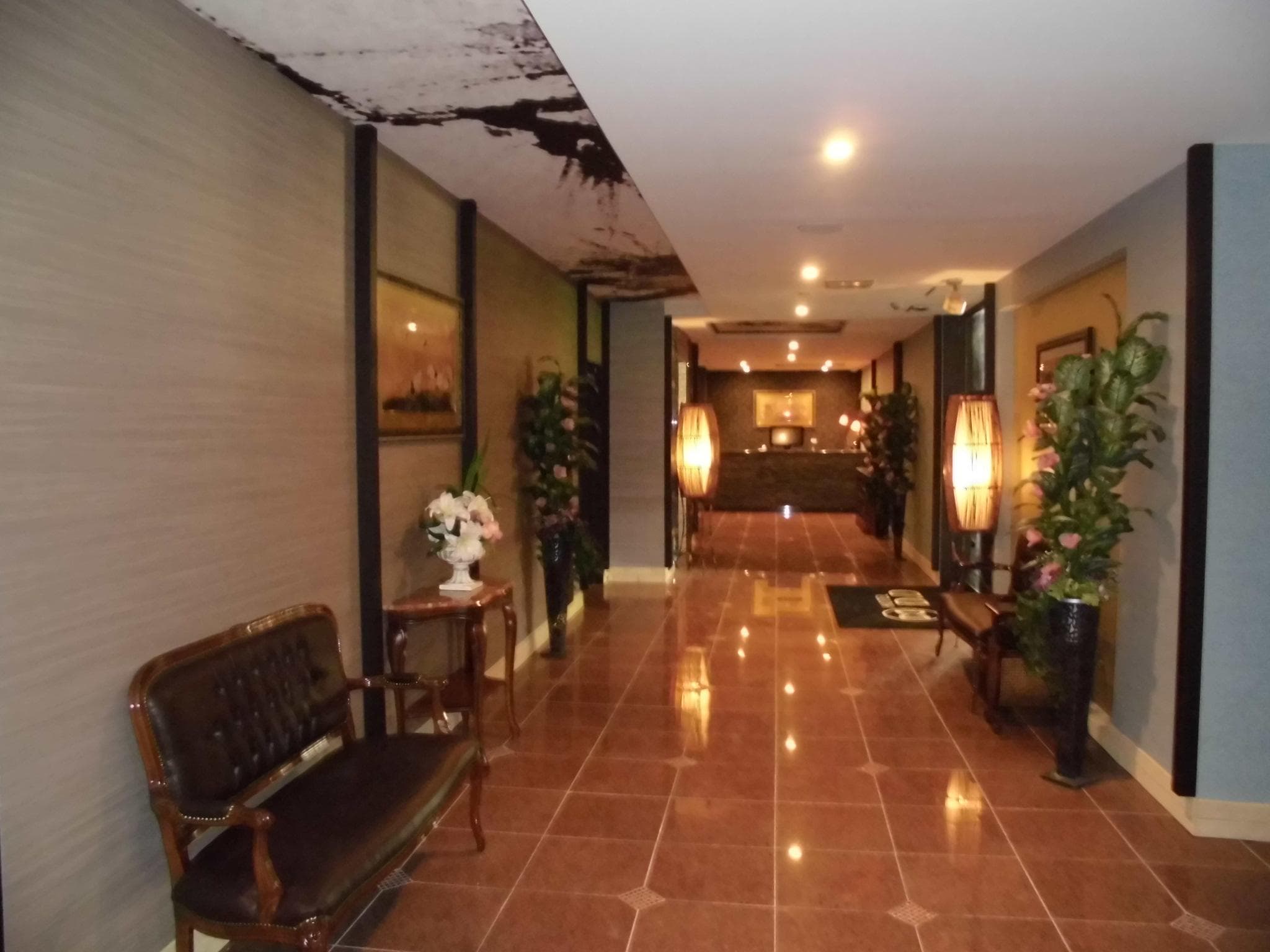 Hotel D.D