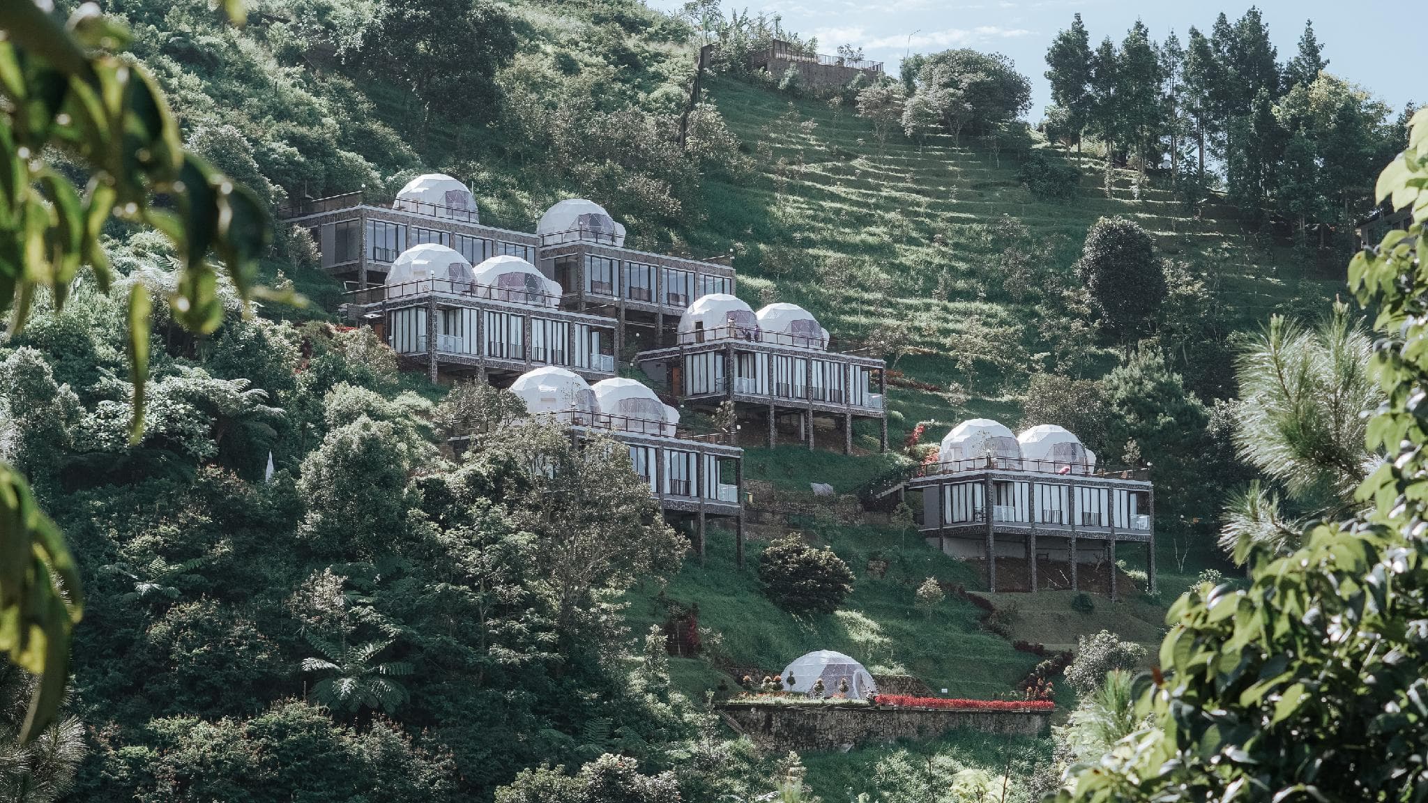 Damar Langit Resort