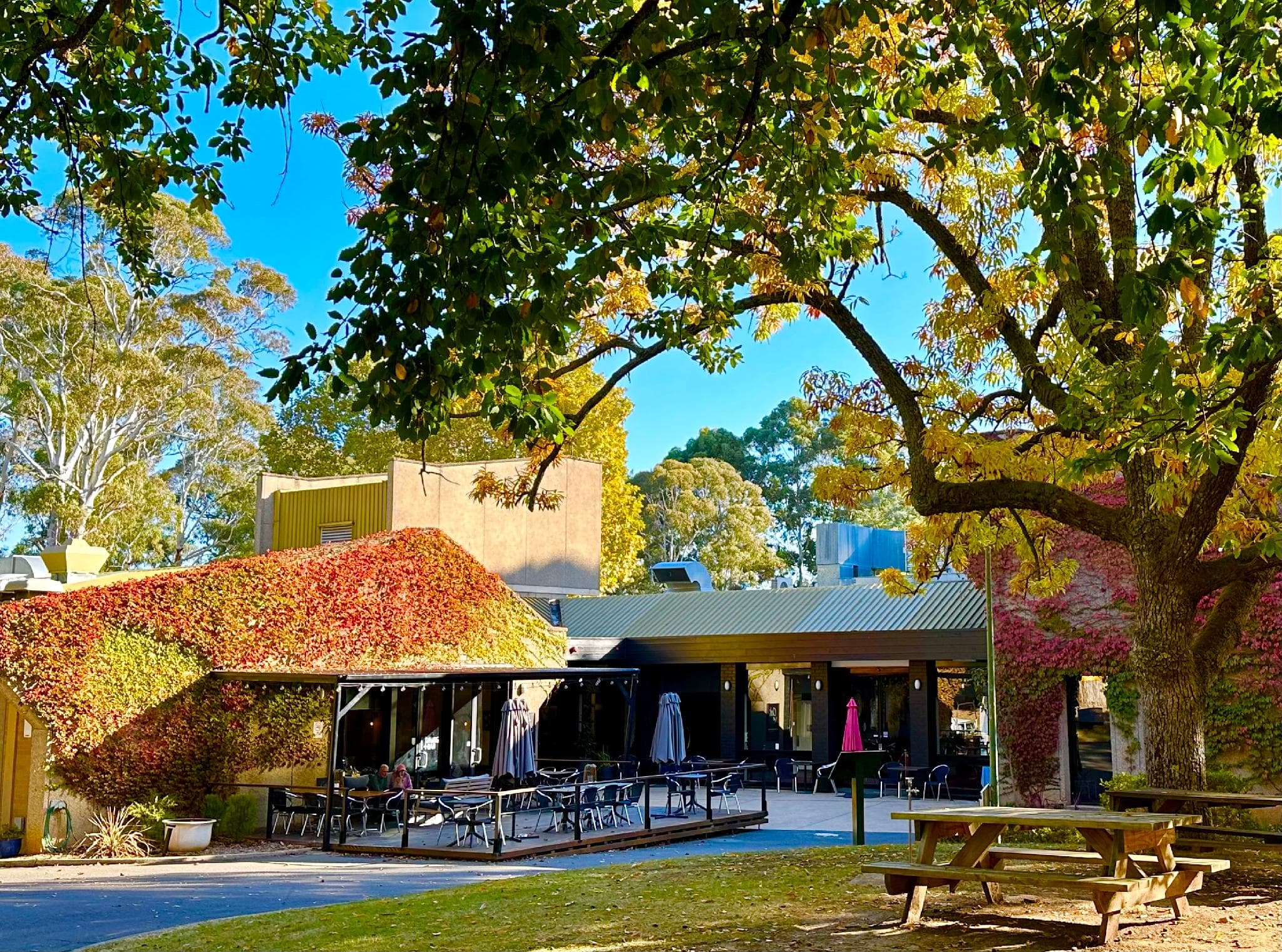 The Grand Oaks Resort